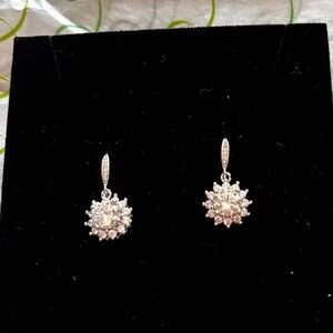 Elegant Silver Drop Earrings